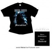 DIMMU BORGIR -�ǥ��ࡦ�ܥ륮��- STORMBLAST �֥��ȡ���֥饹�ȡ� T�����