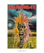 IRON MAIDEN -󡦥ᥤǥ- IRON MAIDEN ֹŴν ݥ