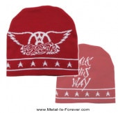 AEROSMITH (ߥ) WALK THIS WAY ֥ǥ -ⶵ- ˥åȥå