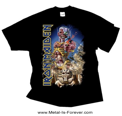 アイアンメイデン(IRON MAIDEN) ワールドツアー 2008 Tシャツ アイアン・メイデン IRON MAIDEN ツアーTシャツ BRAVE NEW