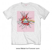 PINK FLOYD (ԥ󥯡ե) THE DARK SIDE OF THE MOON ֶ ꥭƥ󥹥󡦥ץꥺ Tġ