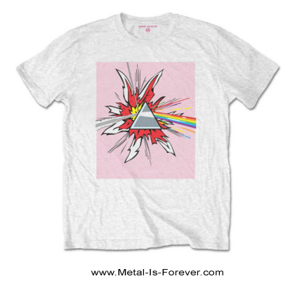 PINKFLOYD　ピンクフロイドＴシャツ PINK FLOYD (ピンク・フロイド) THE DARK SIDE OF THE MOON