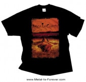 ALICE IN CHAINS (���ꥹ�����󡦥�������) DIRT �֥����ȡ� �ԥ����