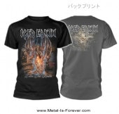 ICED EARTH (ɡ) ENTER THE REALM ֥󥿡 T