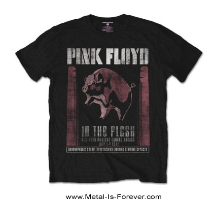 PINK FLOYD (ピンク・フロイド) IN THE FLESH? 「イン・ザ・フレッシュ