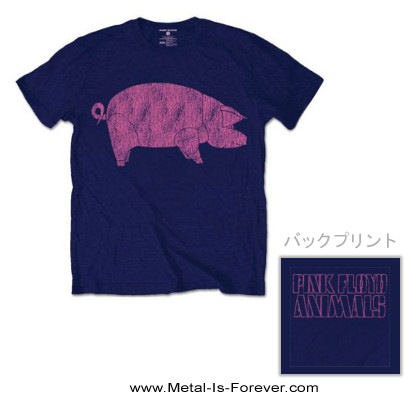 PINK FLOYD (ピンク・フロイド) AWBDG 「ピッグ」 Tシャツ