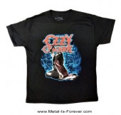 OZZY OSBOURNE (ܡ) Blizzard of Ozz ֥֥ꥶɡ֡ɤ줿ͺ åT