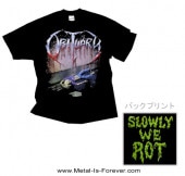 OBITUARY (���ӥ��奢�꡼) SLOWLY WE ROT �֥������꡼�����������åȡ� T�����