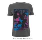 LED ZEPPELIN (��åɡ��ĥ��åڥ��) JAPANESE BLIMP �֥���ѥˡ������֥��ס� T����ġʥ��㥳���롦���졼��