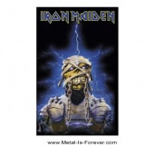 IRON MAIDEN (󡦥ᥤǥ) POWERSLAVE MUMMY ֥ѥ쥤ޥߡ ݥ