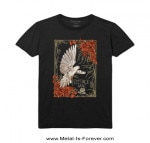 FLEETWOOD MAC (ե꡼ȥåɡޥå) Dove ֥ ԥ