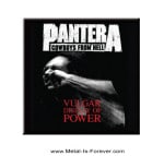 PANTERA (ѥƥ) Vulgar Display of Power ¯ ޥͥå