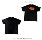 TOOL (ȥ) Flaming Eye Tour 2022 ֥ե졼ߥ󥰡ĥ2022 ԥ