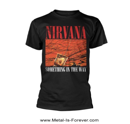 NIRVANA (ニルヴァーナ) Something In The Way 「サムシング・イン・ザ