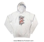 RED HOT CHILI PEPPERS (åɡۥåȡꡦڥåѡ) In The Flesh ֥󡦥եå ѡʥ졼