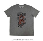 RED HOT CHILI PEPPERS (åɡۥåȡꡦڥåѡ) In The Flesh ֥󡦥եå ԥġʥ졼