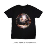 AC/DC (ǥ) Live! ֥饤 50ǯǰԥ