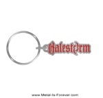 HALESTORM (�إ��륹�ȡ���)  Logo �֥����� ������������