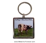 PINK FLOYD (ԥ󥯡ե) Atom Heart Mother ָҿ 