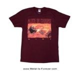 ALICE IN CHAINS (���ꥹ�����󡦥�������) Dirt Orange �֥����ȡ�����󥸡� �ԥ���ġʥޥ롼���