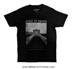 ALICE IN CHAINS (���ꥹ�����󡦥�������) Stairway �֥��ƥ��������� �ԥ����