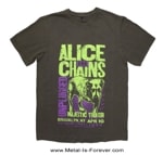 ALICE IN CHAINS (ꥹ󡦥) Unplugged Dog ֥ץ饰ɡɥå ԥġʥ졼å