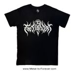 FOO FIGHTERS (�ա����ե���������) Metal Logo�֥᥿�롦������ �����ܥ� T�����