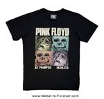 PINK FLOYD -ピンク・フロイド- WISH YOU WERE HERE 「炎～あなたが