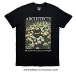 ARCHITECTS (�������ƥ���) Astronaut Roses�֥����ȥ��Ρ��ȡ����������ףԥ����