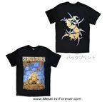 SEPULTURA (���ѥ�ȥ���) Chaos A.D.�֥�������A.D.�� T�����