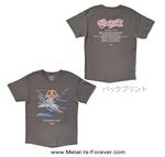 AEROSMITH (���������ߥ�) Summer Tour '85 ��1985ǯ���ޡ����ĥ����ףԥ���ġʥ��㥳���롦���졼��