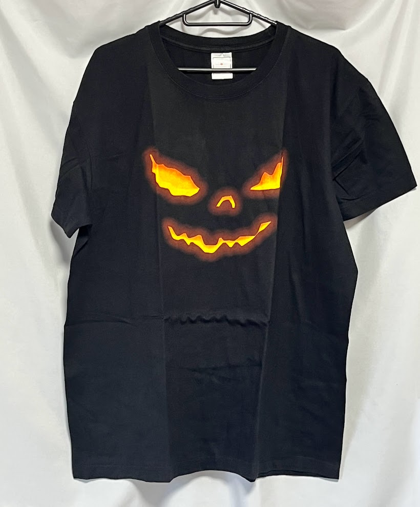 在庫有り】HELLOWEEN (ハロウィン) FOLLOW THE SIGN 「フォロー・ザ
