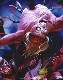 IRON MAIDEN (�������󡦥ᥤ�ǥ�) Dead By Daylight Monster Eddie �֥ǥåɡ��Х����ǥ��饤�ȡ���󥹥��������ǥ��� �ԥ����