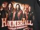 �ں߸�ͭ�꾦�ʡ�HAMMERFALL (�ϥ�ޡ��ե�����) DOMINION �֥ɥߥ˥���� 2020ǯ�衼���åѡ��ĥ��� ���åס��ѡ����� M������
