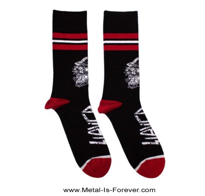 SLAYER (쥤䡼) Skull Helmet ֥롦إåȡ 