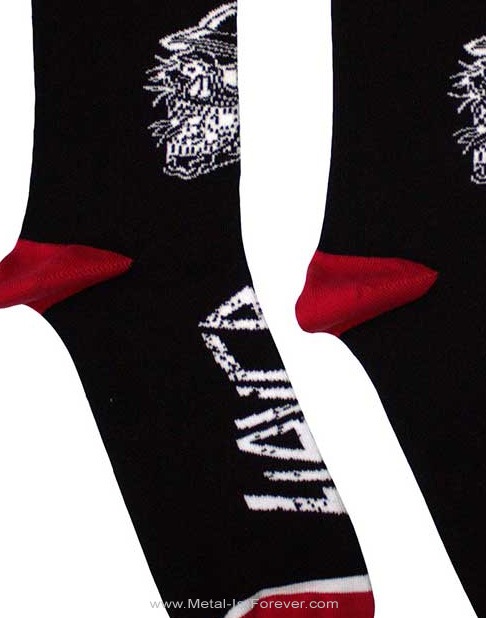 SLAYER (쥤䡼) Skull Helmet ֥롦إåȡ 