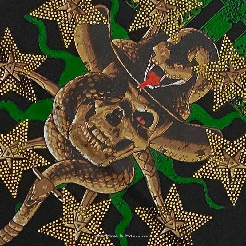 PANTERA (�ѥ�ƥ�) Skull & Snake �֥����롦����ɡ����͡����� T����ġʥ饤�󥹥ȡ����