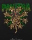 PANTERA (�ѥ�ƥ�) Skull & Snake �֥����롦����ɡ����͡����� T����ġʥ饤�󥹥ȡ����