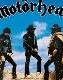 MOTORHEAD (⡼إå) Ace of Spades ֥֡ڡ Хåѥå