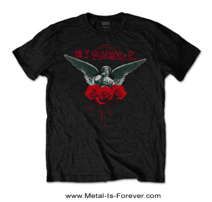 MY CHEMICAL ROMANCE (�ޥ������ߥ��롦���ޥ�) Angel of the Water�֥��󥸥��롦���֡������������ףԥ����