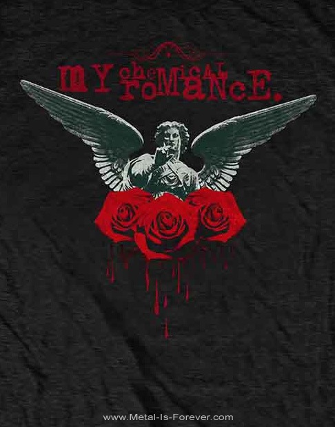 MY CHEMICAL ROMANCE (�ޥ������ߥ��롦���ޥ�) Angel of the Water�֥��󥸥��롦���֡������������ףԥ����