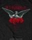 MY CHEMICAL ROMANCE (�ޥ������ߥ��롦���ޥ�) Angel of the Water�֥��󥸥��롦���֡������������ףԥ����