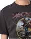 IRON MAIDEN -�������󡦥ᥤ�ǥ�- THE TROOPER �������ʤ��襤�� Amplified �ԥ����