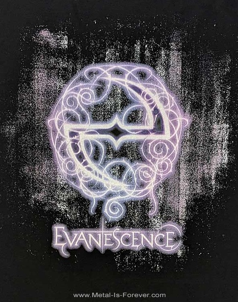 EVANESCENCE (�������ͥå���) WANT �֥�����ȡ� T����� Ver.2