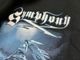 �ں߸ˤ����SYMPHONY X (����ե��ˡ������å���) PARADISE LOST �֥ѥ�������������ȡ� �ѡ�����  L�������ڥ��쥯�����������ƥ��