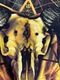 �ں߸ˤ����SLIPKNOT (����åץΥå�) CATTLE SKULL �֥���ȥ롦������� �ѡ����� L������