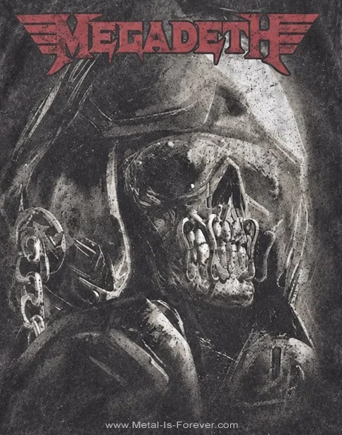 ��ͽ���ʡ� MEGADETH �ʥᥬ�ǥ��� Fighter Pilot BIG / ��å������꥿����ɡ����졼���ͥץ�ߥ��� / T�����