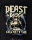 BEAST IN BLACK (�ӡ����ȡ����󡦥֥�å�) Dark Connection Girl �֥����������ͥ�����󡦥������ T�����