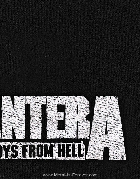 PANTERA -�ѥ�ƥ�- COWBOYS FROM HELL �֥����ܡ��������ե��ࡦ�إ�� �˥åȥ���å�