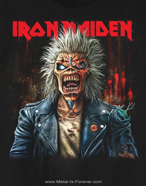 IRON MAIDEN (󡦥ᥤǥ) Est. 1975 Eddie Scream Portrait 1975ǯǥ꡼ࡦݡȥ쥤ȡףԥ